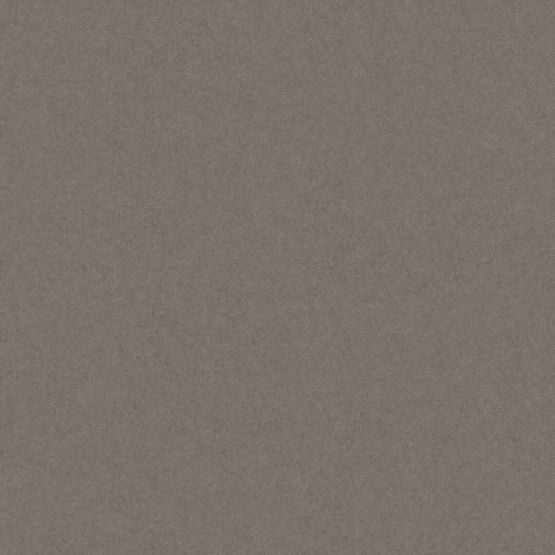 Płytka Podłogowa Monolight Exterior Brown 59,7x59,7 Cerrad