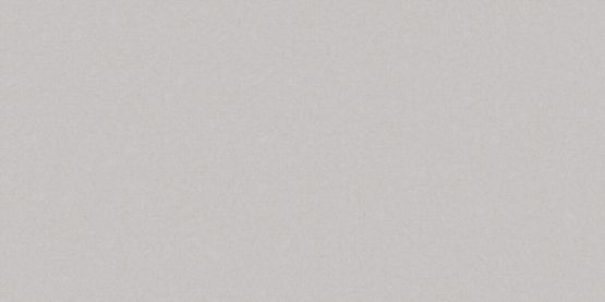 Płytka Podłogowa Monolight Exterior Grey 119,7x59,7 Cerrad