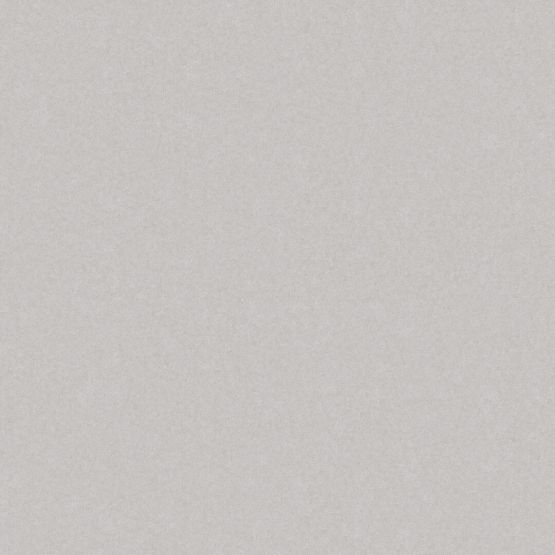 Płytka Podłogowa Monolight Exterior Grey 59,7x59,7 Cerrad