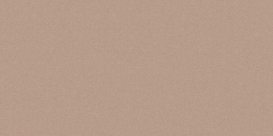 Płytka Podłogowa Monolight Exterior Mocca 119,7x59,7 Cerrad