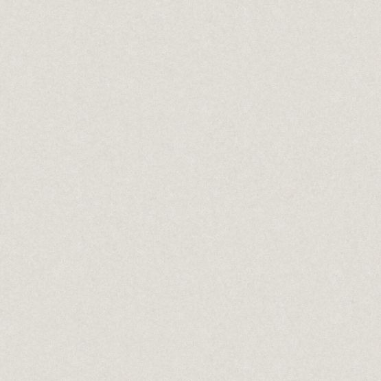 Płytka Podłogowa Monolight Exterior White 59,7x59,7 Cerrad