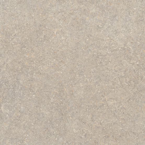 Płytka Podłogowa Oikos Natural 100x100 Stn