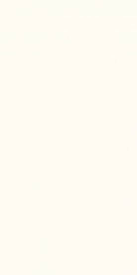 Płytka Puris White Ultramat 29,8x59,8 Paradyż