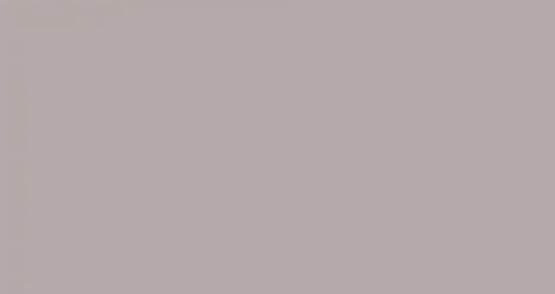 Płytka Ścienna Colour Marrone Mat 29,8x59,8 gr.10mm Domino