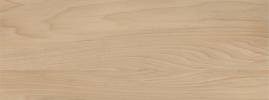 Płytka Ścienna Pure Concept Wood Beige 32,8x89,8 Tubądzin