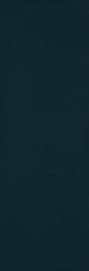 Płytka Ścienna Urban Colours Green Mat 29,8X89,8 Paradyż My Way