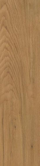 Płytka Tarasowa Trueland Gold Struktura 29,5X119,5 Paradyż