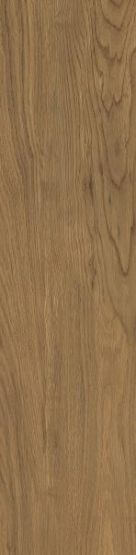 Płytka Tarasowa Trueland Honey Mat 29,5X119,5 Paradyż
