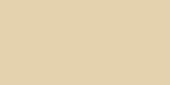 Płytka Podłogowa Gresowa Cielo E Terra Sabbia 119,8x59,8 Tubądzin