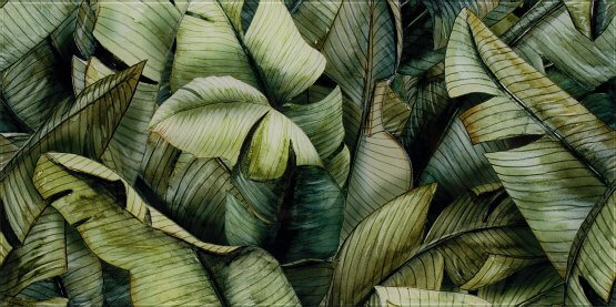 Inserto Uniwersalne Szklane Natura Leaf A 30x60 Paradyż Classica